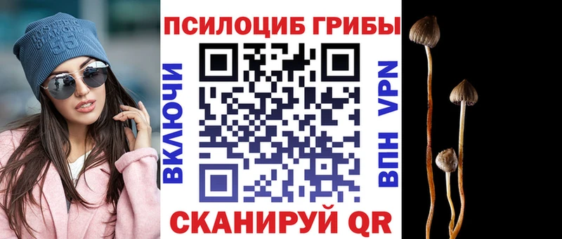 гидра как войти Ленск Псилоцибиновые грибы MAGIC MUSHROOMS